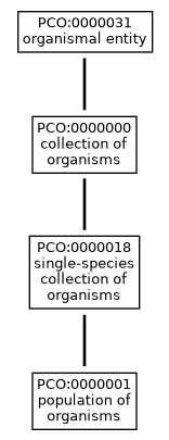 Graph of PCO:0000001