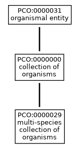 Graph of PCO:0000029